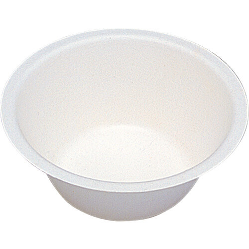 Paper Bowl
