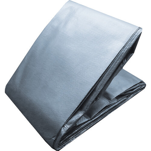 5-year Sheet #3700 (silver)