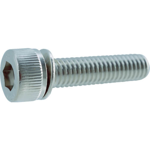 Hexagon Socket Head Cap Bolt with Serrated Conical Spring Washer