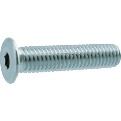 Ultra Low Head SUS Cap Bolt