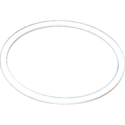 Stainless Steel Filter Housing (1BS/1 loading type)